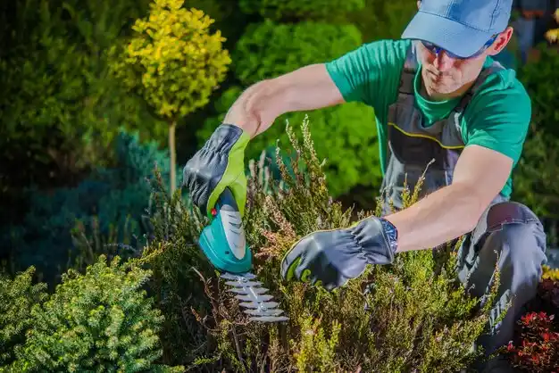 landscaping services Plattsburg